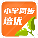 田中心
：我從開局就抱著必勝的信念 希望帶著亞洲冠軍的頭銜凱旋